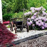 Lägenhet Ferien In Sachsen