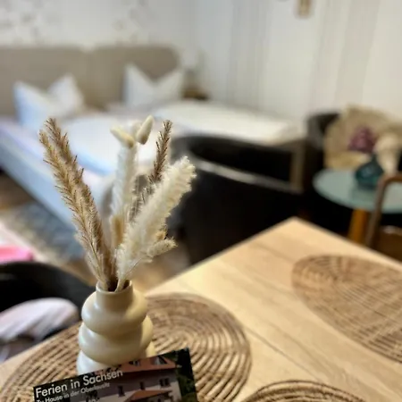 Ferien In Sachsen Apartamento